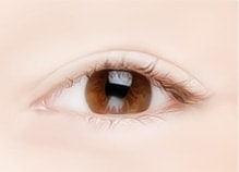Upper Blepharoplasty (Upper Eyelids) Surgery Method